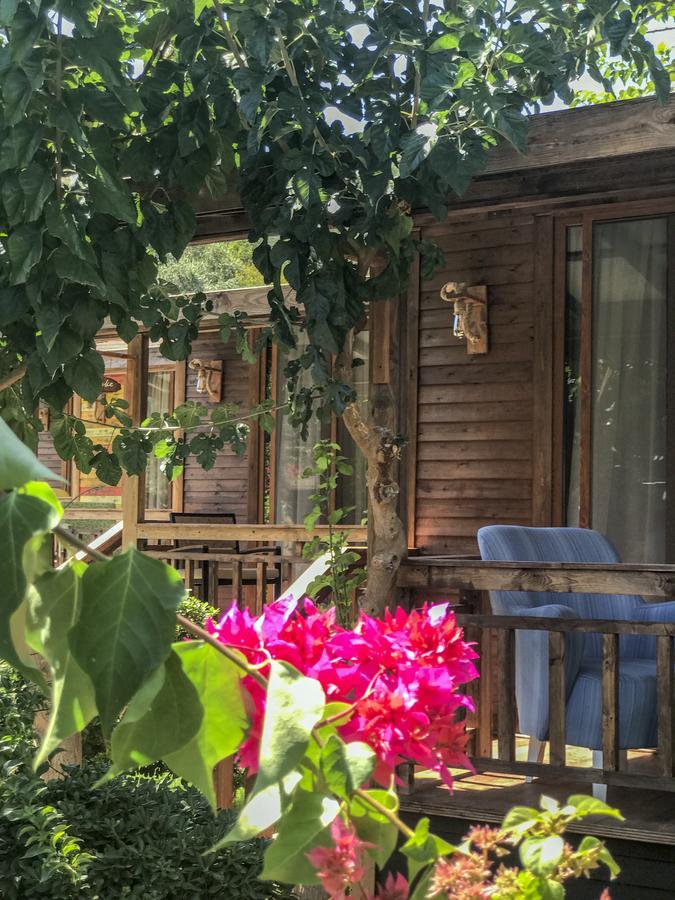 Bed and Breakfast Giritimu Evleri Селемие Экстерьер фото